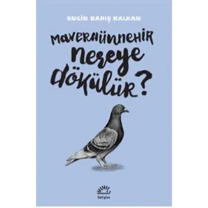 Maveraünnehir Nereye Dökülür? - Engin Barış Kalkan
