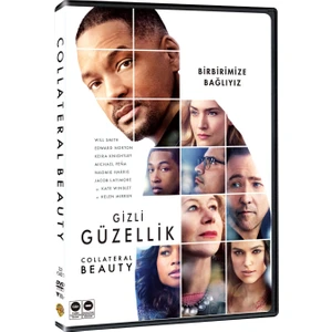 Gizli Güzellik Dvd