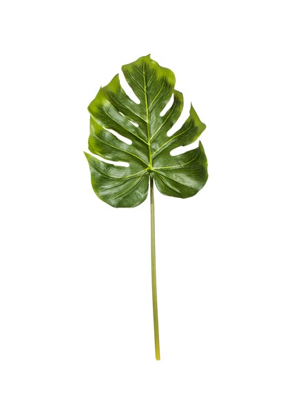 Yapay Yaprak Phılo 85 Cm