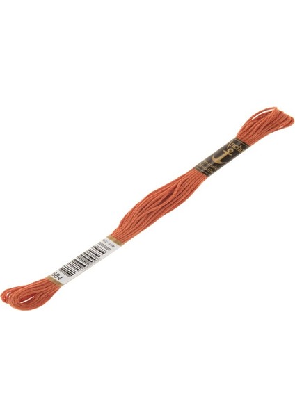 Muline Nakış İpliği 0884