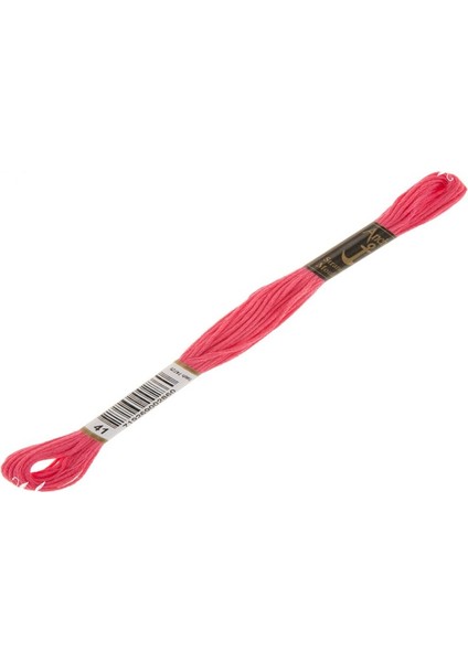 Muline Nakış İpliği 0041