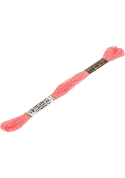 Muline Nakış İpliği 0031