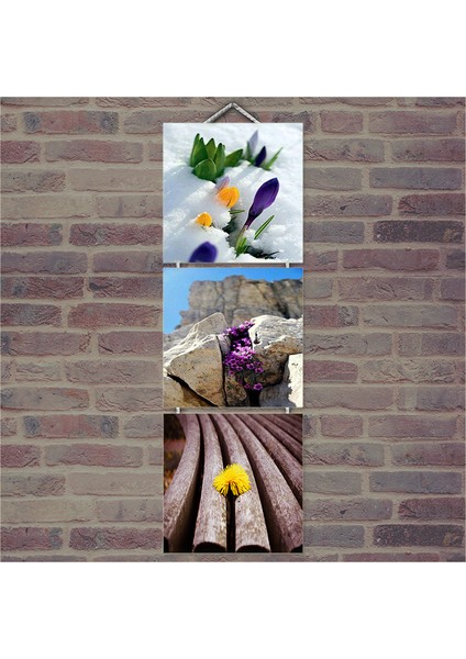 Ahşap Tablo Sınır Tanımaz Çiçekler Baskılı 14X14 Cm 3 Parça