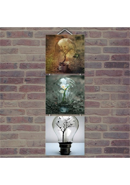 Ahşap Tablo Ampül İçinde Bitkiler Baskılı 14X14 Cm 3 Parça