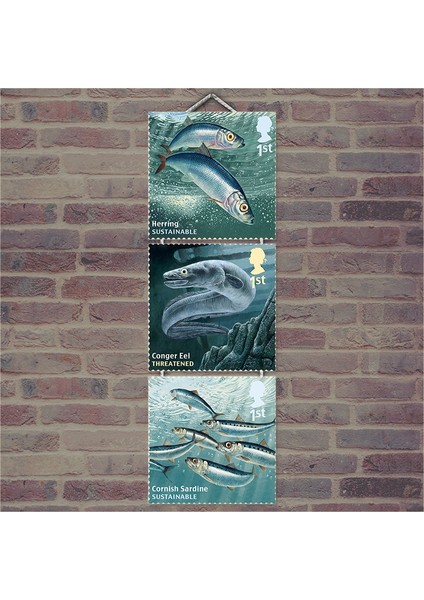 Ahşap Tablo Deniz Altında Balık Afişleri Baskılı 14X14 Cm 3 Parça