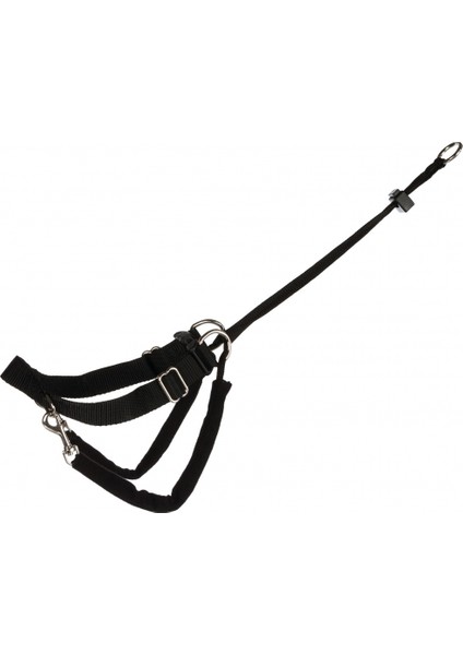Köpek Yürüme Eğitim Tasması S2736Cm/20Mm