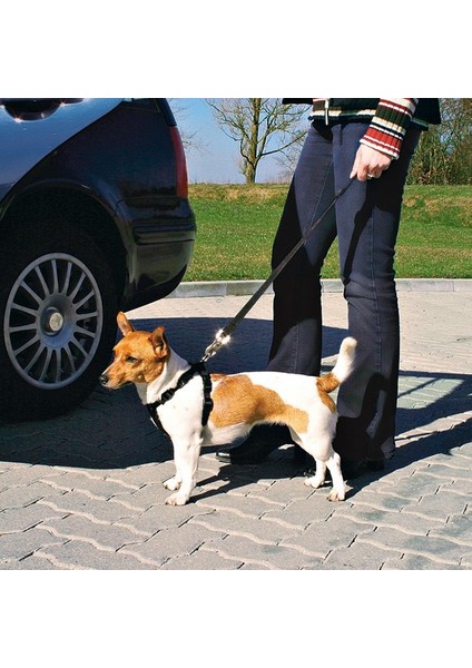 Köpek Emniyet Kemeri M50 - 70cm fiyatları