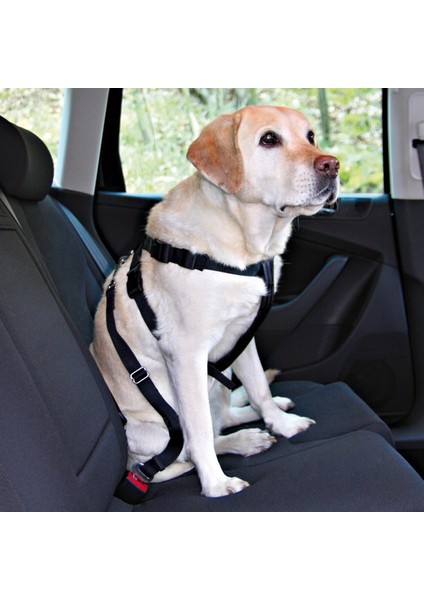 Köpek Emniyet Kemeri M50 - 70cm fırsatları