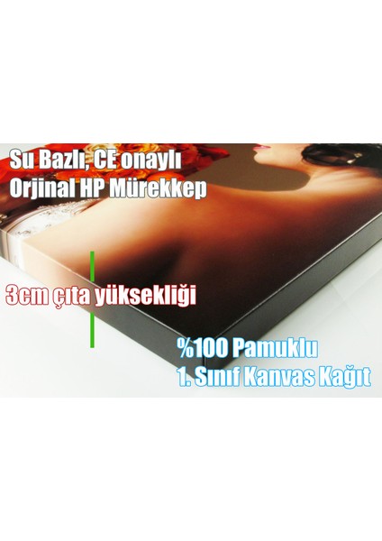 Pnc6 Pencereden Koşan Atlar Kanvas Tablo 70 x 100 cm