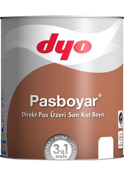 Pasboyar 2,5 Litre Mat Siyah Pasboyası