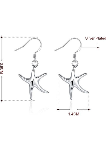 Gümüş Rengi Denizyıldızı Küpe