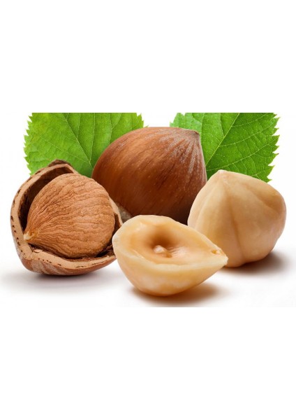 Fındık Yağı 50 ml. Soğuk Press