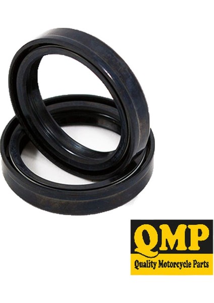 Suzuki GW 250 INAZUMA Amortisör Yağ Keçesi (Ön Maşa) (2012-2016)