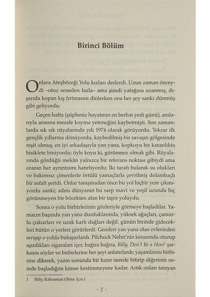 Ateşböceği Yolu - Kristin Hannah