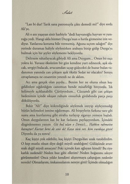 Bir Türk Masalı: Sedat - Işıl Parlakyıldız