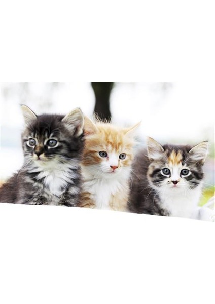 Sulu Cam Radyatör 90 - Yatay