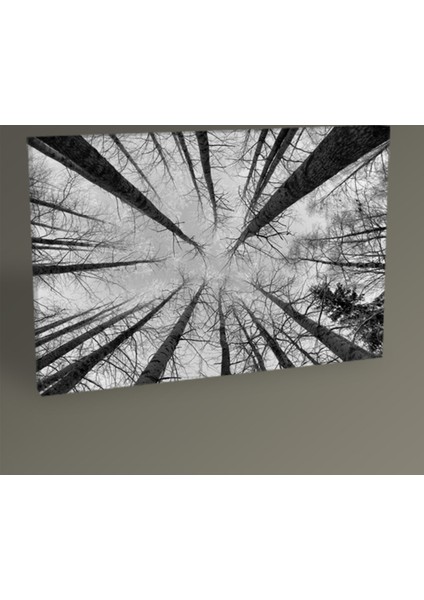 Look Up Tablo 30 x 20 cm