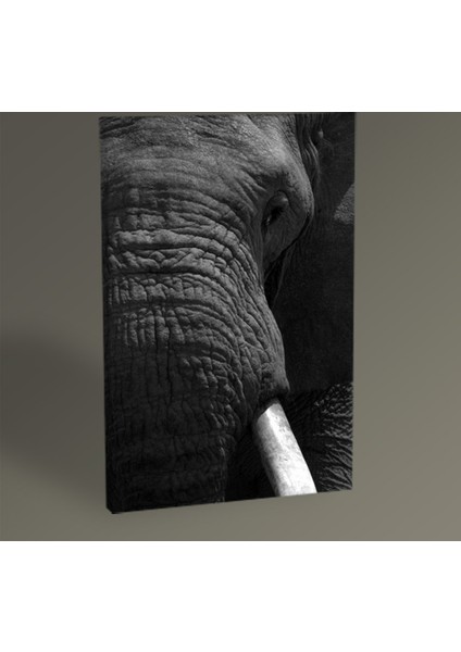 Fil Tablo 30 x 20 cm