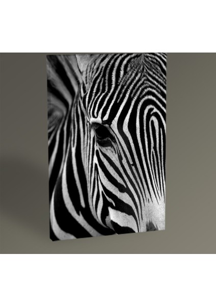 Zebra Tablo 30 x 20 cm