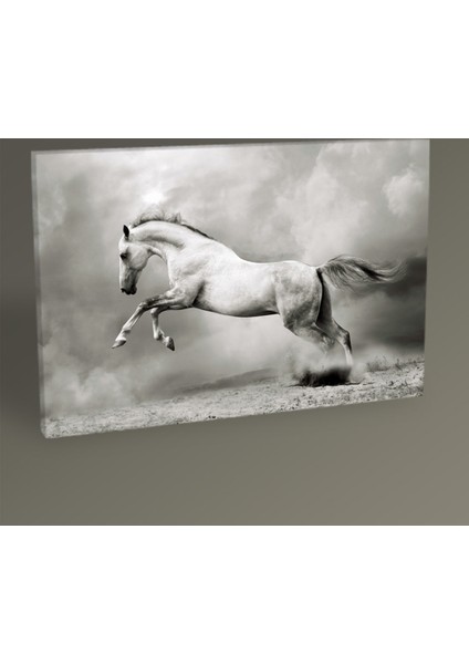 Gümüş Rengi At Tablo 30 x 20 cm