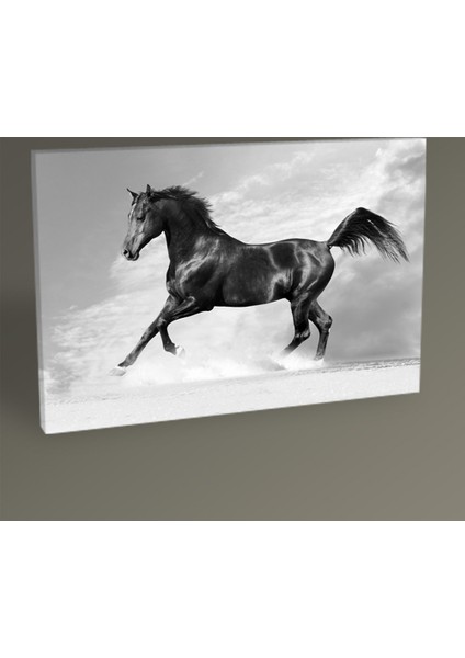 Siyah At Tablo 30 x 20 cm