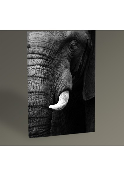 Elephant Tablo 30 x 20 cm