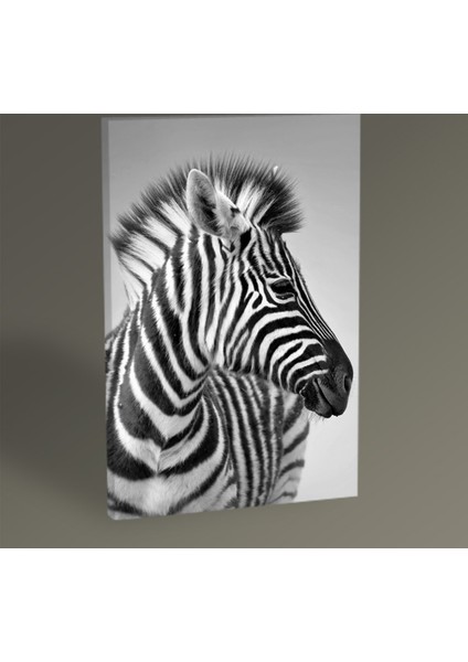 Zebra Tablo 30 x 20 cm