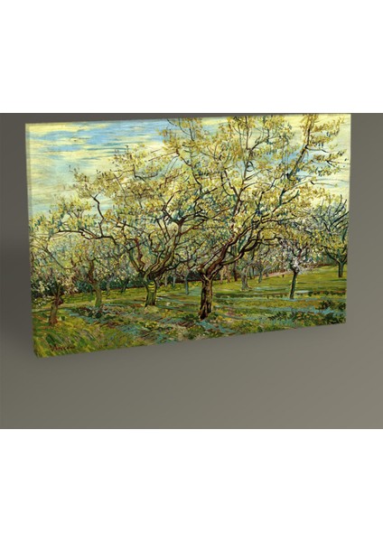Vincent Van Gogh Beyaz Meyve BahEsi Tablo 30 x 20 cm