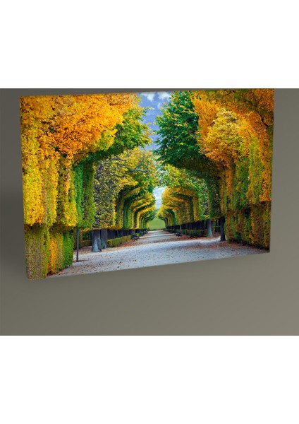 AğaçLı Yol Tablo 30 x 20 cm