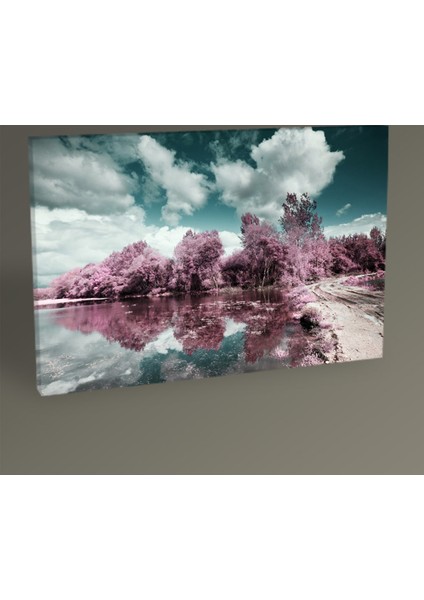 Park Of Pateira De Fermentelos 30 x 20 cm