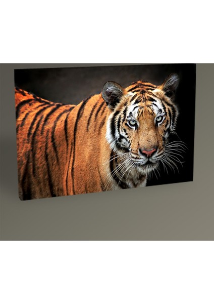 Kaplan Tablo 30 x 20 cm