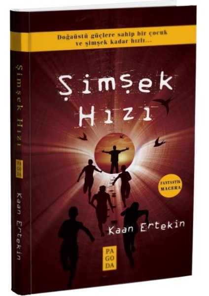 Şimşek Hızı