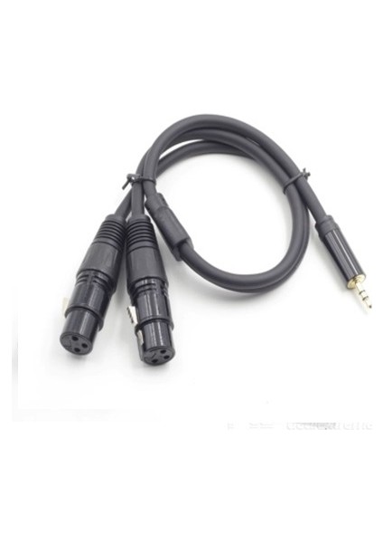 Stereo Erkek 2 Xlr Dişi Kablo 50 Cm