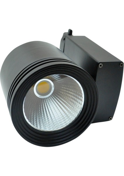 30W Cob Led Ray Armatür (Gün Işığı)