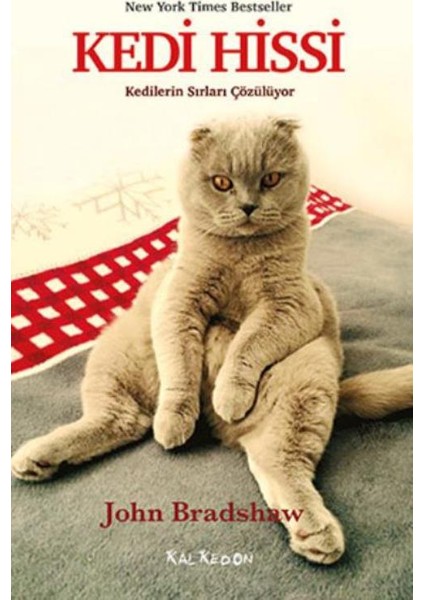 Kedi Hissi: Kedilerin Sırları Çözülüyor - John Bradshaw