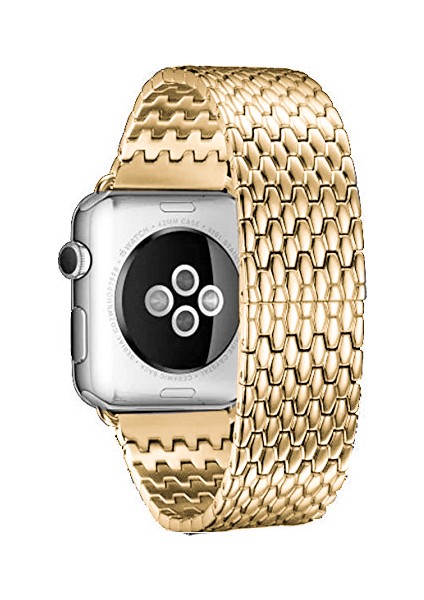 Akıllıphone Apple Watch Uyumlu 42Mm Dragon Paslanmaz Çelik Keyış Kordon