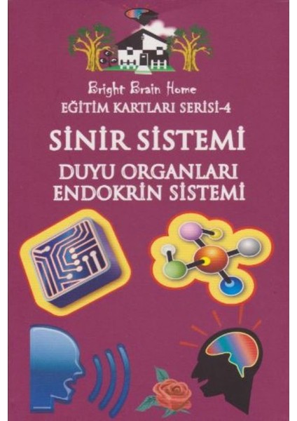 Eğitim Kartları Serisi-4: Sinir Sistemi Duyu Organları-Endokrin Sistemi