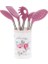 6Lı Servis Seti Pretty Rose 1