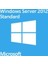 Microsoft Windows Server 2012 R2 64 Bit İngilizce DVD Kutu 1