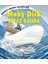Moby Dick: Beyaz Balina 1
