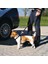 Köpek Emniyet Kemeri M50 - 70cm 2