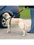 Köpek Emniyet Kemeri M50 - 70cm 3