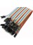 40 Pin Ayrılabilen Dişi-Erkek Jumper Kablo-300 Mm 1