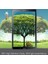 Samsung Galaxy Tab A 10.1'' T580 Temperli Cam Ekran koruyucu Kırılmaz film 4