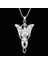 Lord Of The Rings Arwen Evenstar Akşam Yıldızı Elf Zirkon Kolye Küpe Set 5