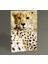 Cheetah Tablo 30 x 20 cm 1