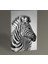 Zebra Tablo 30 x 20 cm 1