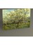 Vincent Van Gogh Beyaz Meyve BahEsi Tablo 30 x 20 cm 1