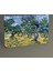 Vincent Van Gogh-Olive Grove Tablo 30 x 20 cm 1