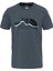 Mountain Line Erkek T-Shirt Gri 1